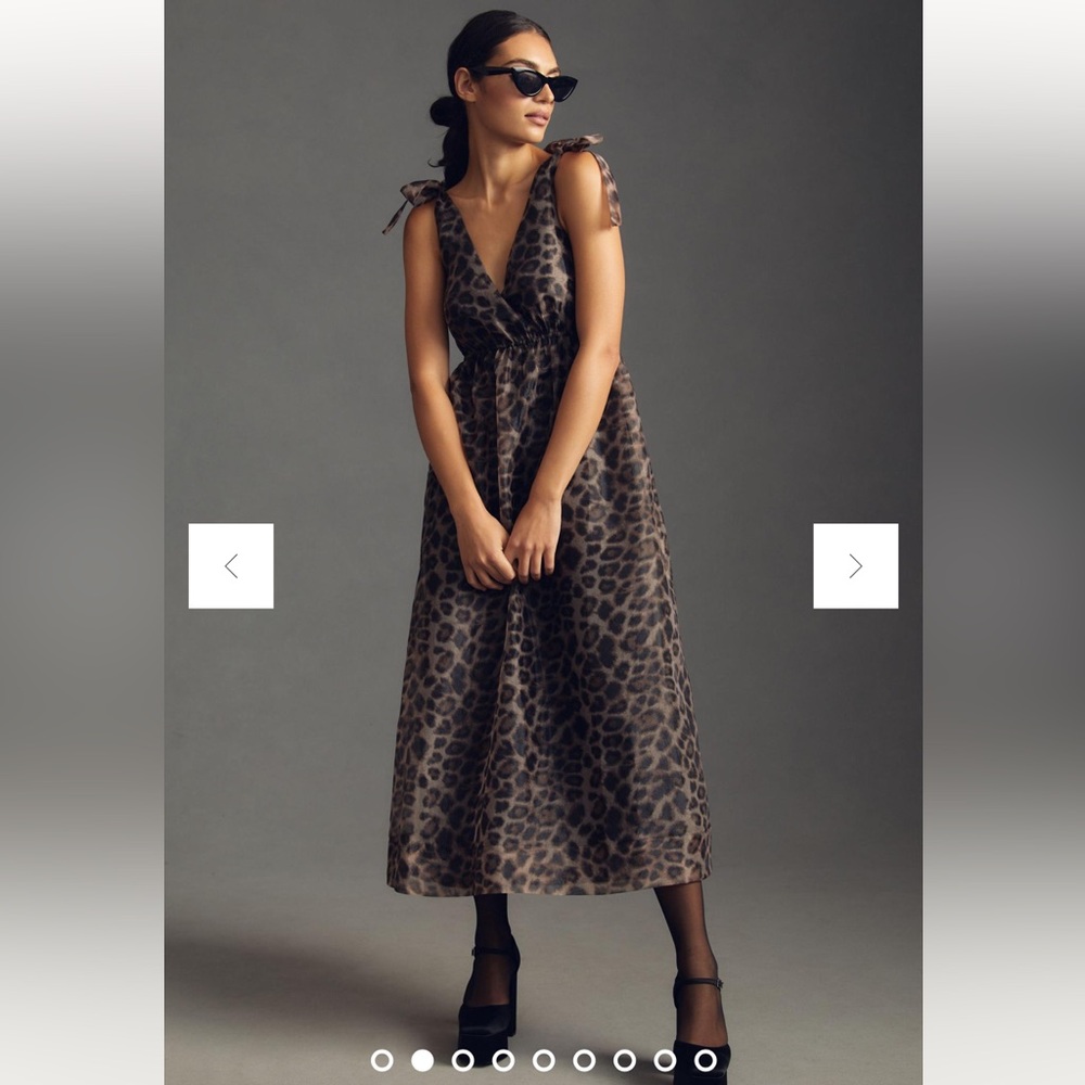 Anthropology Daniel Rainn V-Neck Organza Dress